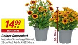 Angebot im toom Baumarkt Berne Prospekt toom Baumarkt Berne Prospekt mit im Angebot fĂŒr 14,99 âŹ