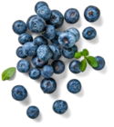 Span./marokk. Kulturheidelbeeren Angebot in Grünow Span./marokk. Kulturheidelbeeren im aktuellen Prospekt bei Kaufland in Grünow