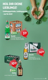 Stauden im Trink und Spare Prospekt in Kaarst Aktueller Trink und Spare Prospekt mit Stauden, "Aktuelle Angebote", Seite 9
