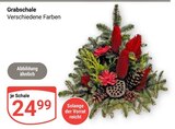Grabschale im Angebot bei GLOBUS in Völklingen Grabschale Angebote bei GLOBUS Völklingen für 24,99 €