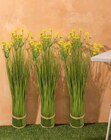 Fagot de fleurs Ludo - Maxi Bazar Fagot de fleurs Ludo à 12,99 € dans le catalogue Maxi Bazar