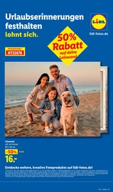 Leinwand im Lidl Prospekt in Osnabrück Aktueller Lidl Prospekt mit Leinwand, "LIDL LOHNT SICH", Seite 9
