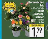 Hornveilchen Trio im EDEKA Prospekt Hornveilchen Trio von im aktuellen EDEKA Prospekt für 1,79 €