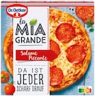 La Mia Grande Salami von Dr. Oetker für 3,49 € bei Netto mit dem Scottie im Angebot La Mia Grande Salami von Dr. Oetker im aktuellen Netto mit dem Scottie Prospekt