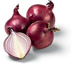 Aktuelle Gemüse Angebote bei Netto Marken-Discount in Halle (Saale) Aktuelles Zwiebeln rot Angebot bei Netto Marken-Discount in Halle (Saale) ab 1,29 €