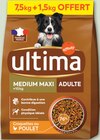 Croquettes pour chien adulte médium maxi au poulet - ULTIMA - Netto à Boulogne-Billancourt Croquettes pour chien adulte médium maxi au poulet - ULTIMA en promo chez Netto Boulogne-Billancourt à 19,98 €