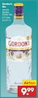 Gin im Angebot bei Netto Marken-Discount in Schwerin Gin Angebote von Gordon’s bei Netto Marken-Discount Schwerin für 9,99 €
