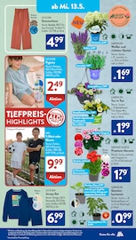 Aktueller ALDI SÜD Prospekt mit Hortensie, "Gutes für Alle.", Seite 20