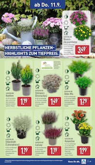 Blumen im aktuellen ALDI Nord Prospekt (Rostock) Blumen im ALDI Nord Prospekt "Aktuelle Angebote" mit 48 Seiten (Rostock)
