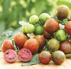 Aktuelles Tiger-Cocktailtomate Angebot bei Dehner Garten-Center in Duisburg ab 3,49 €