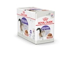 Promo Pâtées Royal Canin® à 13,49 € dans le catalogue Jardiland à Cormontreuil