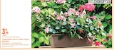 Jardinière day r camel 50cm - DEROMA en promo chez Intermarché Hyper Pau à 3,99 €