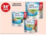 Bi1 Arbois - Promo -34% de remise immédiate sur tout Dentalife Promo -34% de remise immédiate sur tout Dentalife à dans le catalogue Bi1 à Arbois