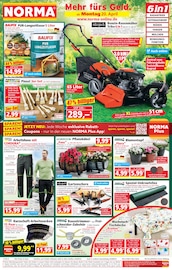 Aktueller Norma Discounter Prospekt in Klein Wanzleben und Umgebung, "Mehr fürs Geld" mit 21 Seiten, 20.04.2026 - 25.04.2026