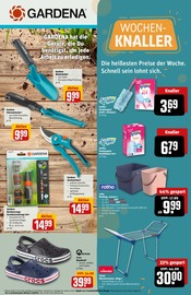 Ähnliches Angebot bei REWE in Prospekt "Dein Markt" gefunden auf Seite 35