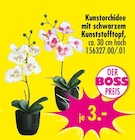 Kunstorchidee für 3,00 € bei SB Möbel Boss im Angebot Kunstorchidee im aktuellen SB Möbel Boss Prospekt