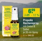 Propolis Rachenspray von Bergland im aktuellen V-Markt Prospekt für 6,99 €