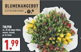 Aktuelles Tulpen Angebot bei Marktkauf in Dortmund ab 1,99 €