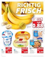 Bananen im Kaufland Prospekt in Essen Aktueller Kaufland Prospekt mit Bananen, "Aktuelle Angebote", Seite 2