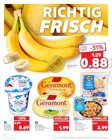 Käse im Kaufland Prospekt "Aktuelle Angebote" mit 69 Seiten (Essen)