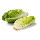 Aktuelles Mini Romana Angebot bei Lidl in Duisburg ab 0,99 €