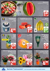 Blumen im EDEKA Prospekt in Norderstedt Aktueller EDEKA Prospekt mit Blumen, "Top Angebote", Seite 8