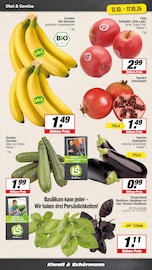 Pflanzen im EDEKA Prospekt in Dülmen Aktueller EDEKA Prospekt mit Pflanzen, "Aktuelle Angebote", Seite 4