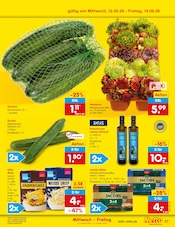 Zucchini im Netto Marken-Discount Prospekt in Fürth Aktueller Netto Marken-Discount Prospekt mit Zucchini, "Aktuelle Angebote", Seite 51