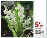 Griffes de Muguet - U en promo chez Super U Le Mans à 5,99 €