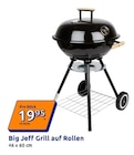 Big Jeff Grill auf Rollen bei Action im Stadthagen Prospekt für 19,95 €