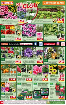 Gemüse im Norma Prospekt "Mehr fürs Geld" mit 16 Seiten (Pforzheim)