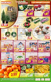 Plante Verte Angebote im Prospekt "Votre Discounter Régional" von Norma auf Seite 4