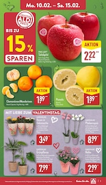 Aktueller ALDI Nord Prospekt mit Orchidee, "Aktuelle Angebote", Seite 3