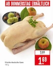 Frische deutsche Gans Angebote bei Marktkauf Stuttgart für 1,69 €