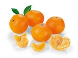 Mandarinen im REWE Prospekt Mandarinen von REWE Beste Wahl im aktuellen REWE Prospekt für 2,22 €