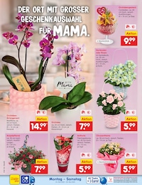 Bäume Angebot im aktuellen Netto Marken-Discount Prospekt auf Seite 39
