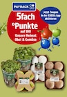 EDEKA Neu-Isenburg - 5fach °Punkte Angebot im Prospekt 5fach °Punkte bei EDEKA im Neu-Isenburg Prospekt für