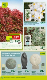 Dekofiguren Angebot im aktuellen Pflanzen Kölle Prospekt auf Seite 10