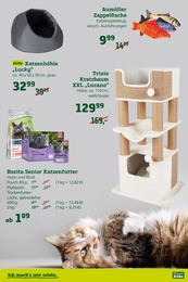 Katzenfutter Angebot im aktuellen Pflanzen Kölle Prospekt auf Seite 3