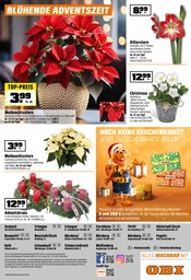 Blumen im OBI Prospekt in Fürth Aktueller OBI Prospekt mit Blumen, "ALLES FÜR EIN SCHÖNES FEST", Seite 20