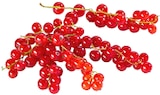 Dtsch. Johannisbeeren im Kaufland Prospekt Dtsch. Johannisbeeren von im aktuellen Kaufland Prospekt für 2,99 €