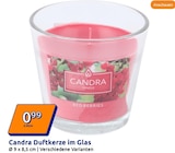 Duftkerze im Glas Angebote von Candra bei Action Gelsenkirchen für 0,99 €