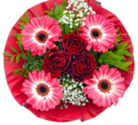 Kaufland Genthin Prospekt mit  im Angebot für 8,99 €