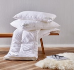 KOPFKISSEN "Queen" oder STEPPBETT "Queen" im Möbel Kraft Prospekt KOPFKISSEN "Queen" oder STEPPBETT "Queen" von billerbeck im aktuellen Möbel Kraft Prospekt für 19,95 €