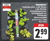 EDEKA Litzendorf - Salatpflanzen Angebot im Prospekt Salatpflanzen bei EDEKA im Litzendorf Prospekt für 2,99 €