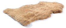 Lammfell AGNELLO bei Trends in Dortmund Lammfell AGNELLO im Angebot bei Trends Dortmund für 49,90 €