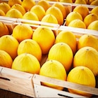MELON JAUNE ET/OU VERT en promo chez Netto MELON JAUNE ET/OU VERT dans le catalogue Netto