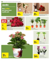 Offre Plante D'intérieur dans le catalogue Carrefour du moment à la page 60