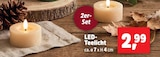 LED-Teelicht für 2,99 € bei Thomas Philipps im Angebot LED-Teelicht im aktuellen Thomas Philipps Prospekt