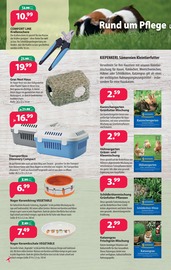 Aktueller Kiebitzmarkt Prospekt mit Pflanzen, "Es geht wieder los. Die Anzucht beginnt!", Seite 6